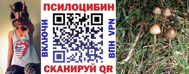 Псилоцибиновые грибы мухоморы  Болгар 
